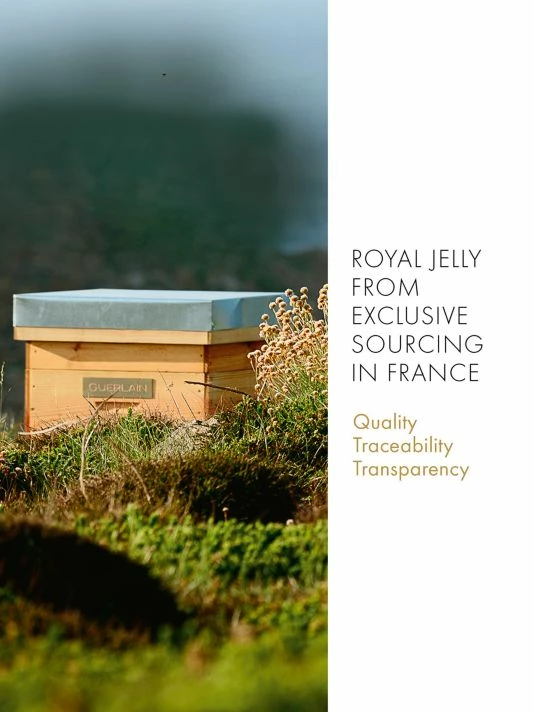 Guerlain Abeille Royale Anti-Aging Fortifying Lotion Toner 8 Guerlain Abeille Royale Anti-Aging Fortifying Lotion Toner - Image 6