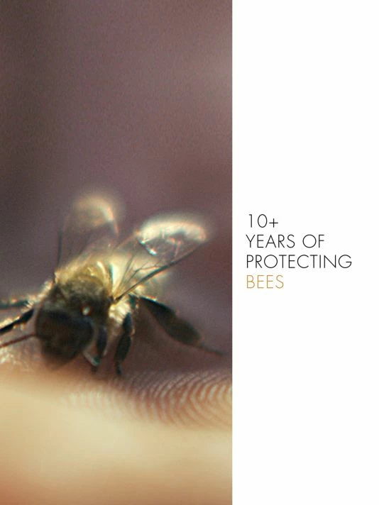 Guerlain Abeille Royale Anti-Aging Fortifying Lotion Toner 9 Guerlain Abeille Royale Anti-Aging Fortifying Lotion Toner - Image 7