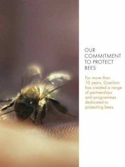 Guerlain Abeille Royale Anti-Aging Eye Cream -CHARVET AND GUERLAIN Sales unnamed file 358