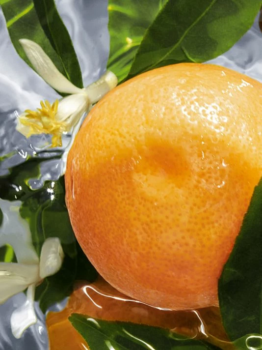 Guerlain Aqua Allegoria Pamplelune Grapefruit Eau De Toilette For Men 4 Guerlain Aqua Allegoria Pamplelune Grapefruit Eau De Toilette For Men - Image 2