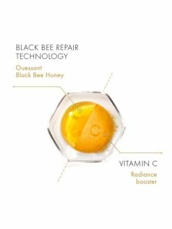 Guerlain Abeille Royale Day Cream 4-Piece Set - $260 Value -CHARVET AND GUERLAIN Sales unnamed file 399