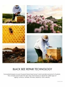 Guerlain Abeille Royale Black Bee Honey Balm -CHARVET AND GUERLAIN Sales unnamed file 432