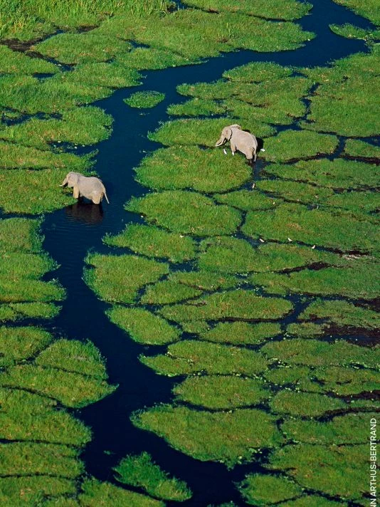 Guerlain Aqua Allegoria Orange Soleia Eau De Toilette For Men 8 Guerlain Aqua Allegoria Orange Soleia Eau De Toilette For Men - Image 6