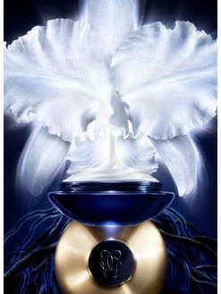 Guerlain Orchidée Impériale Light Cream Refill -CHARVET AND GUERLAIN Sales unnamed file 520