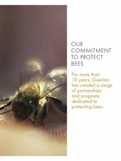 Guerlain Abeille Royale Scalp & Hair Youth Oil In Serum 18 Guerlain Abeille Royale Scalp & Hair Youth Oil In Serum -CHARVET AND GUERLAIN Sales unnamed file 544