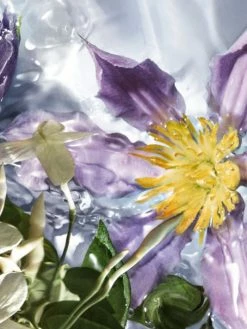 Guerlain Aqua Allegoria Flora Salvaggia Wildflower Eau De Toilette For Men 10 Guerlain Aqua Allegoria Flora Salvaggia Wildflower Eau De Toilette For Men -CHARVET AND GUERLAIN Sales unnamed file 554