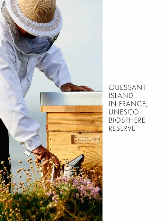 Guerlain Abeille Royale Repairing & Youth Hand Balm 9 Guerlain Abeille Royale Repairing & Youth Hand Balm - Image 7