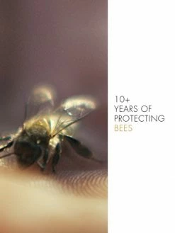 Guerlain Abeille Royale Repairing & Youth Hand Balm 17 Guerlain Abeille Royale Repairing & Youth Hand Balm -CHARVET AND GUERLAIN Sales unnamed file 683