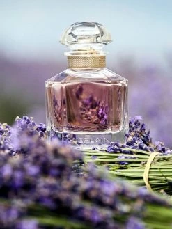 Mon Guerlain Eau De Parfum Spray -CHARVET AND GUERLAIN Sales unnamed file 748