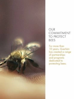 Guerlain Abeille Royale Anti-Aging Rich Day Cream 15 Guerlain Abeille Royale Anti-Aging Rich Day Cream -CHARVET AND GUERLAIN Sales unnamed file 832