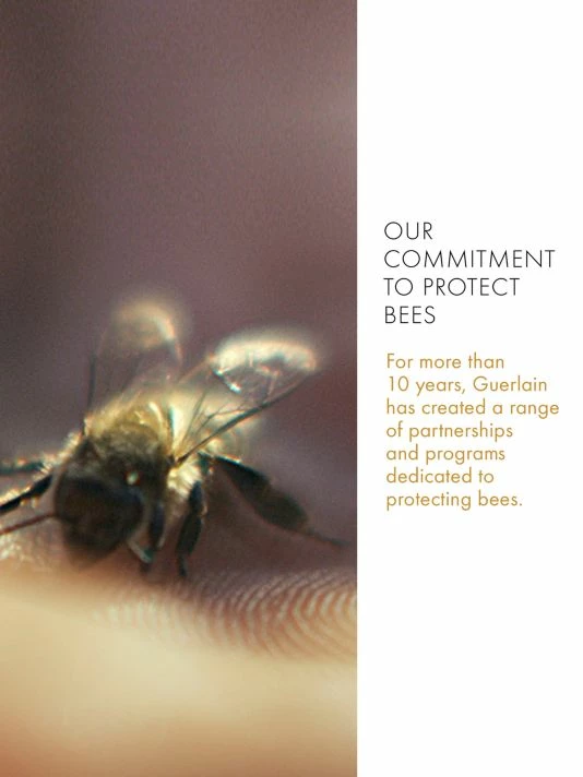 Guerlain Abeille Royale Anti-Aging Rich Day Cream 8 Guerlain Abeille Royale Anti-Aging Rich Day Cream - Image 6