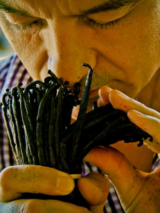 Guerlain Shalimar Perfumed Body Lotion 5 Guerlain Shalimar Perfumed Body Lotion - Image 3