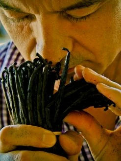 Guerlain Shalimar Shower Gel -CHARVET AND GUERLAIN Sales unnamed file 879